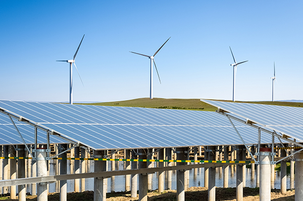 Focusing on Green Environmental Protection and Special Needs, Jiayi Cable Expands New Boundaries of Cable Applications